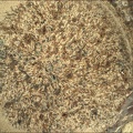 Sol 253, den 5.11.2021