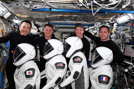 Dragon Crew-2 Besatzung