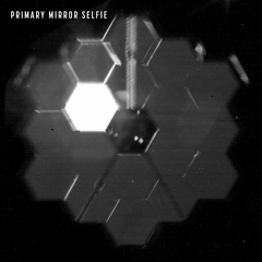 das Selfie von JWST