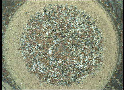 Sol 367,den 3.03.2022