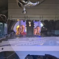20240823 Foton-Durchblick